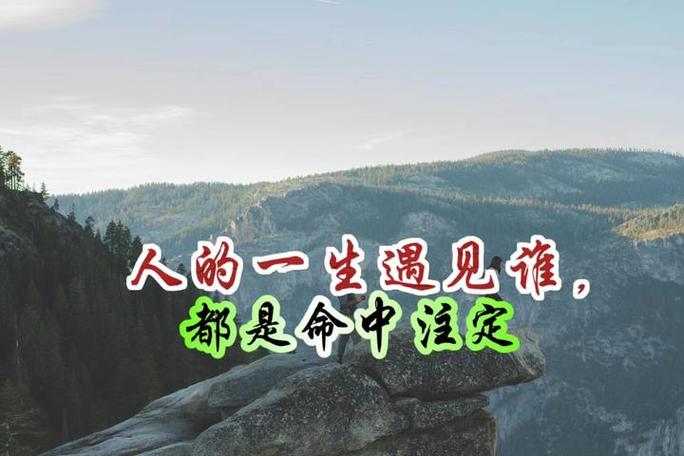 绝非偶然的必然相遇图标