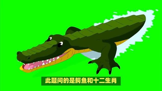 鳄鱼最忌讳的三个属相缩略图