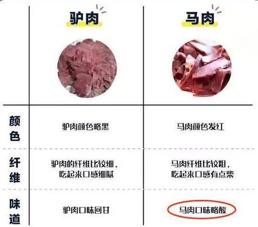 骡子肉和驴肉的区别缩略图