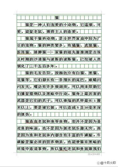 小猫作文400字五年级优秀缩略图