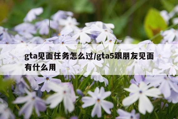 gta5可以和好友一起做任务吗游戏截图