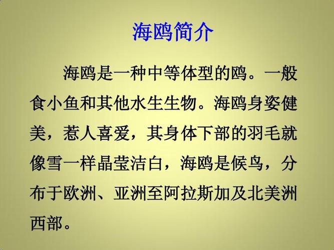 海鸥vp6.6.2最新版本更新内容缩略图