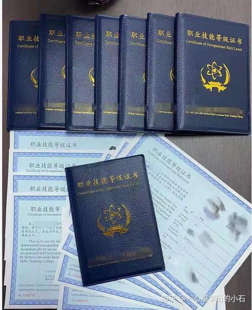 女生最吃香的三个证书游戏截图