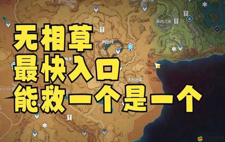 原神无相之草在哪里缩略图