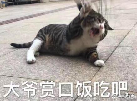 赏口饭吃表情包缩略图