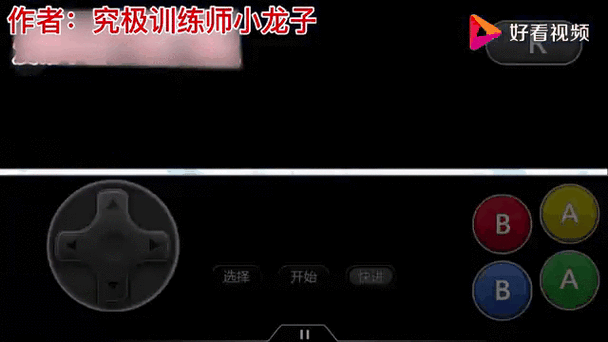 口袋妖怪圣灰作弊码游戏截图