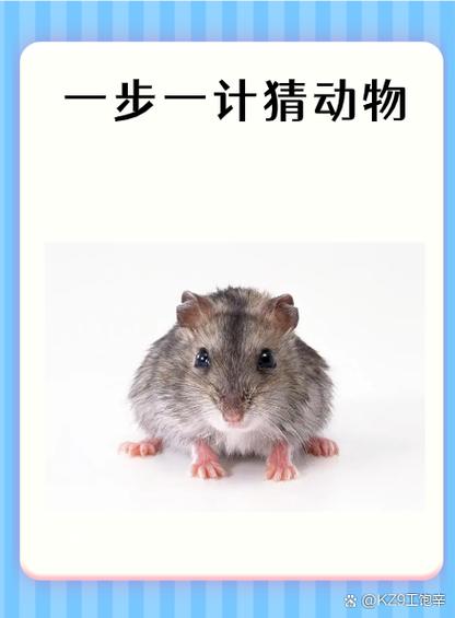 用人脸识别还是指纹识别耗电缩略图