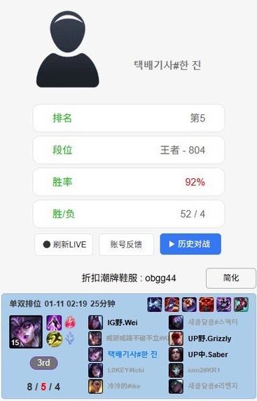 韩服战绩查询opgg缩略图