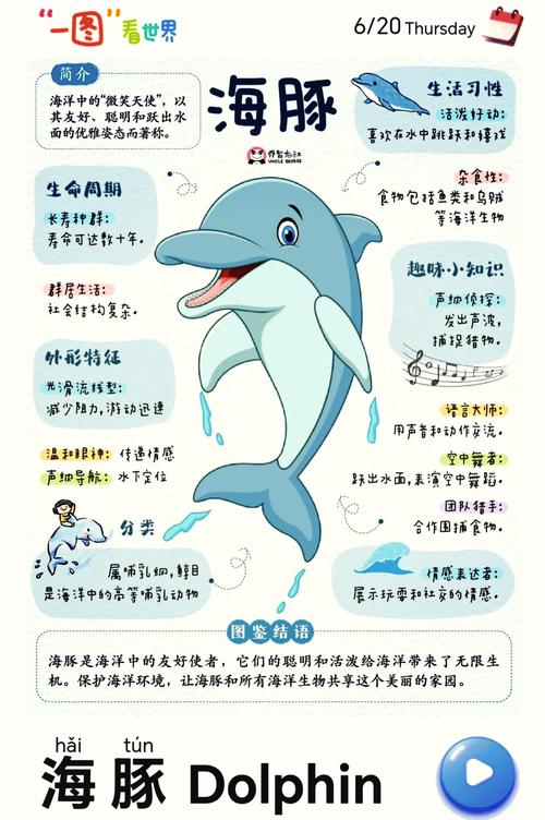 海豚模拟器游戏游戏截图