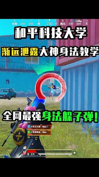 和平精英身法和枪法缩略图
