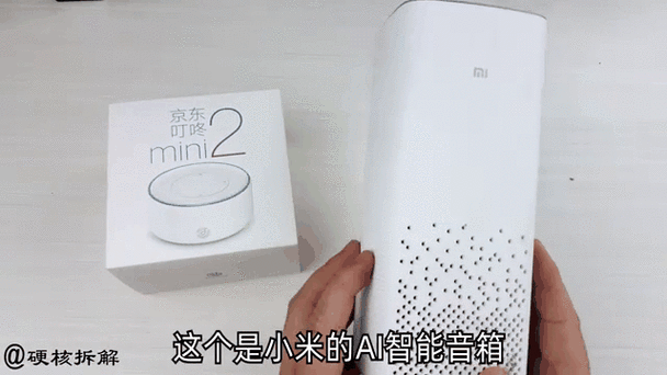 叮咚智能音箱说明书缩略图