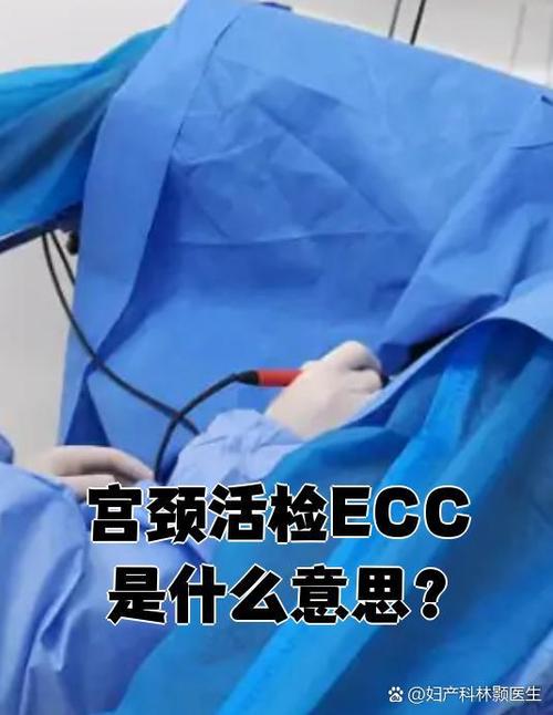 宫颈ecc是什么意思缩略图