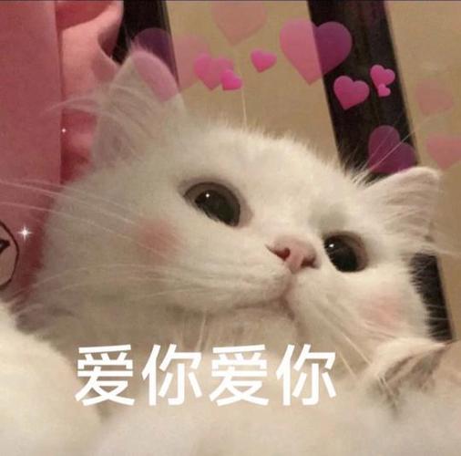 爱你的表情包图标