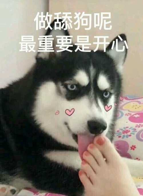 舔狗搞笑图片表情包缩略图