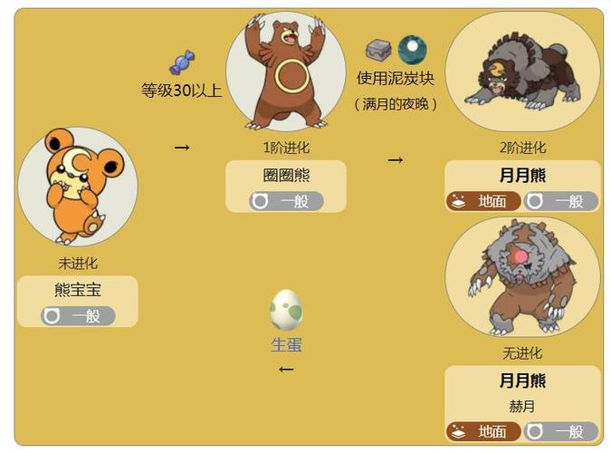 熊宝宝几级进化游戏截图