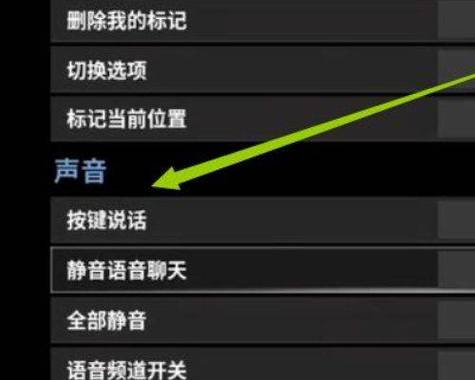 吃鸡怎么开启麦克风权限游戏截图