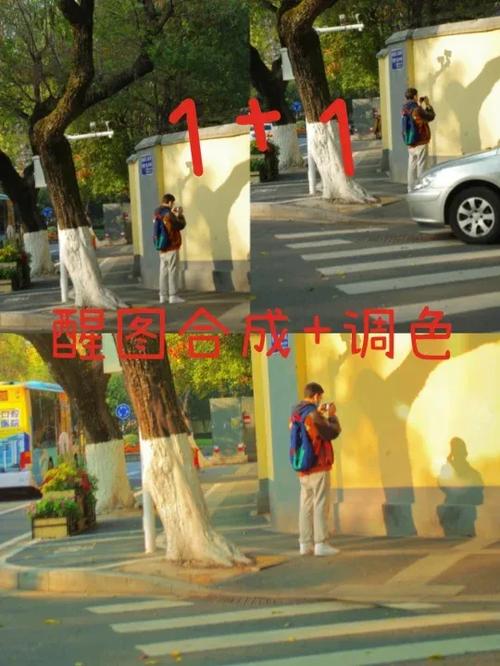 手机屏幕变灰了怎么调回来缩略图