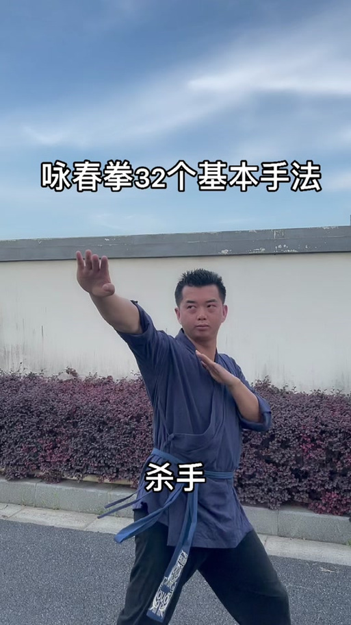 咏春拳慢动作一步一步教图标