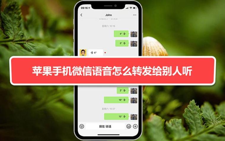 苹果微信语音合成软件缩略图