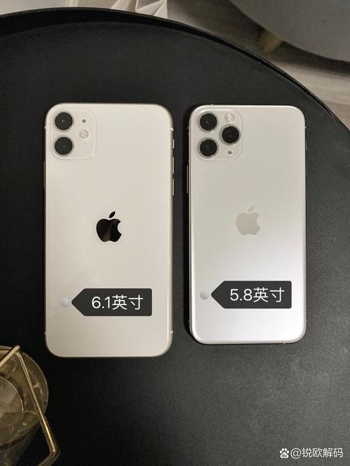 苹果11pro和苹果11哪个好缩略图