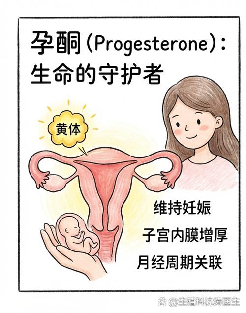 月经经期计算器缩略图