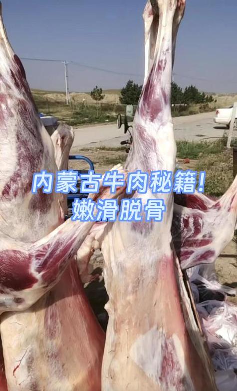 牛肉怎么炒又嫩又滑缩略图