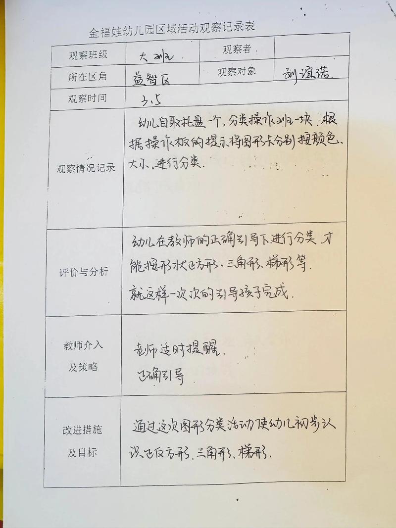 实验幼儿园观察记录表缩略图