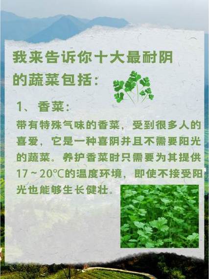 圣女果喜阴还是喜阳缩略图