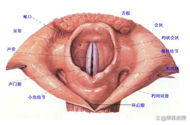 声带息肉怎样治疗最好缩略图