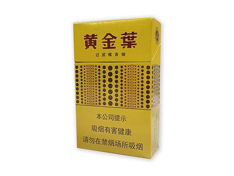 黄金叶(黄金眼)缩略图