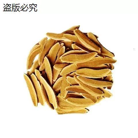 茵阳芝品牌官方旗舰店