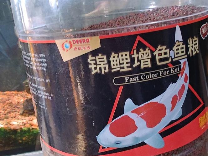 锦鲤饲料十大名牌排名缩略图