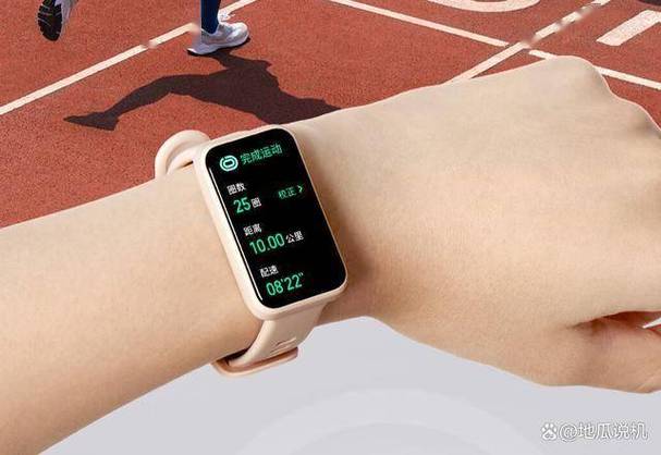 运动手环有哪些功能游戏截图