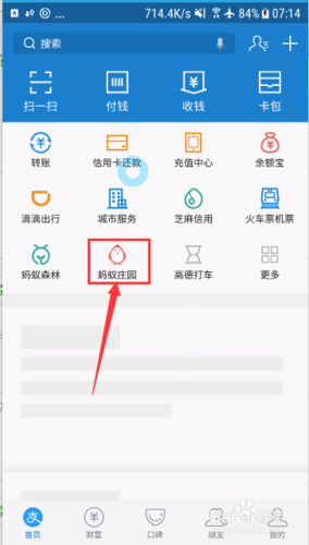 支付宝走路奖励游戏截图