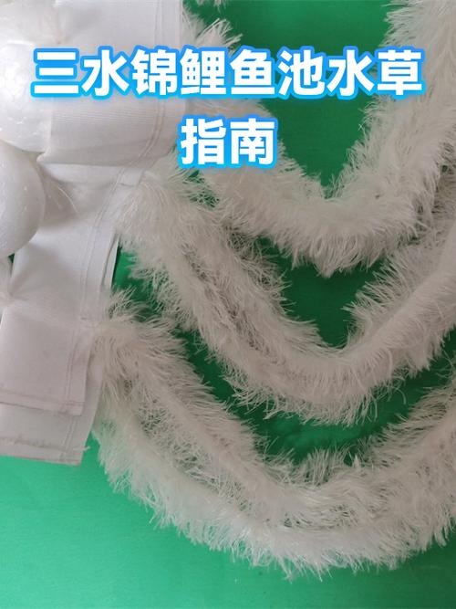 锦鲤最忌三种水草游戏截图