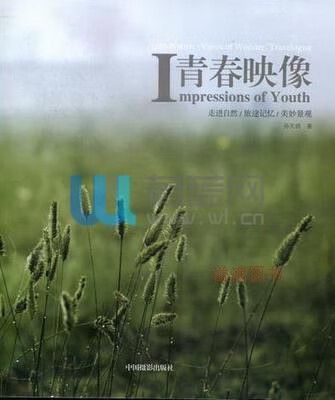 艾伦年轻时候照片图标