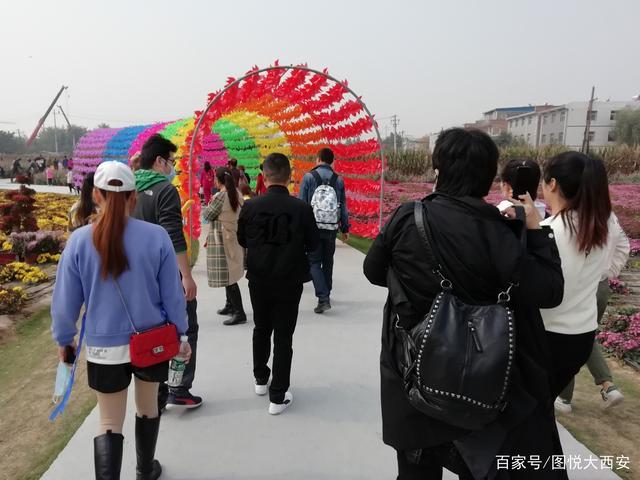 西安菊花园缩略图