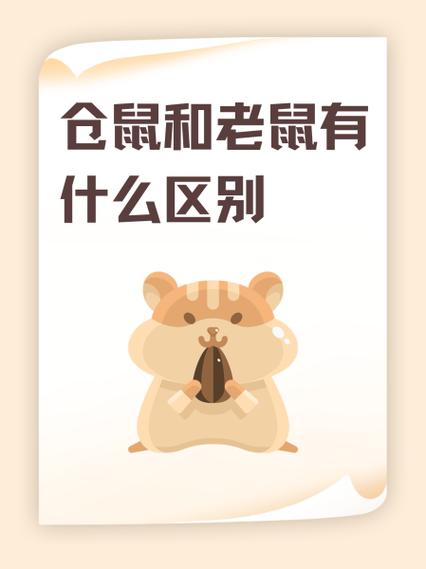 硕鼠和老鼠的区别缩略图