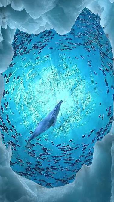 深海水族馆缩略图