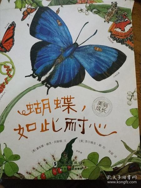 美女的肚子变大缩略图