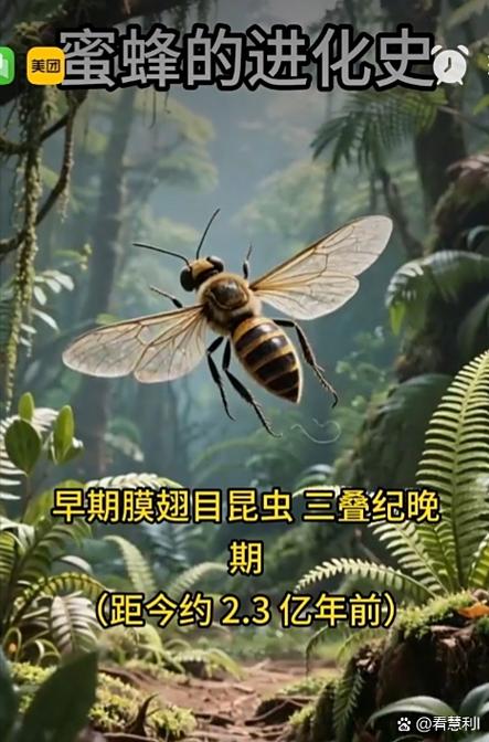 蜜蜂3d进化免广告游戏截图