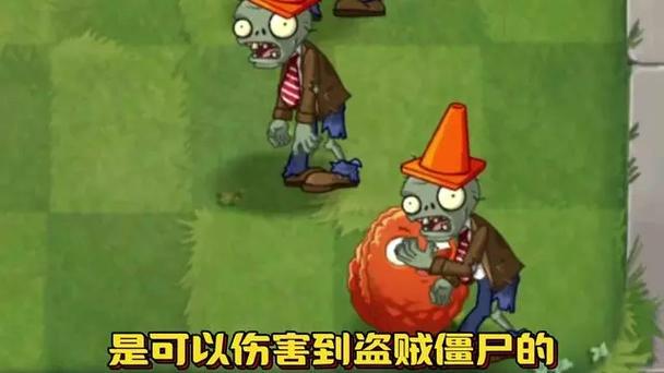 植物大战僵尸1隐藏僵尸缩略图