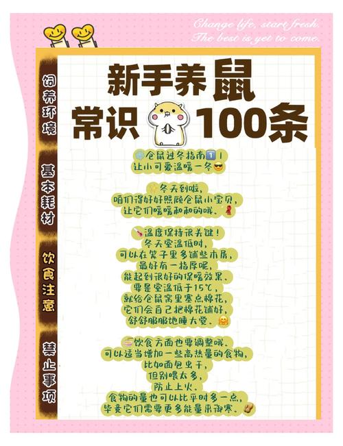 中国可以养阔耳狐吗缩略图