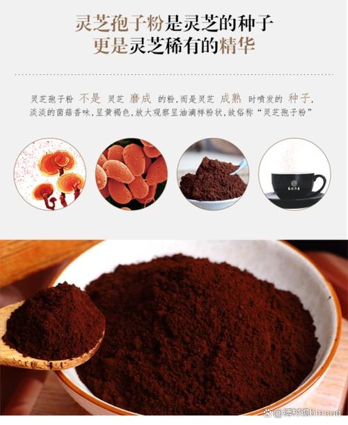 灵芝孢子的正确吃法缩略图