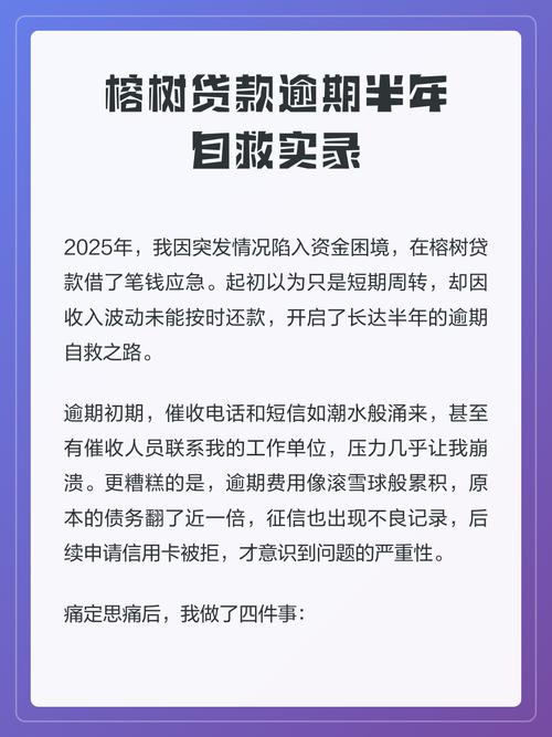 榕树贷款亲身经历缩略图