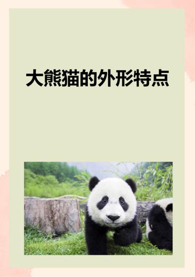 熊猫的特点和生活特征缩略图