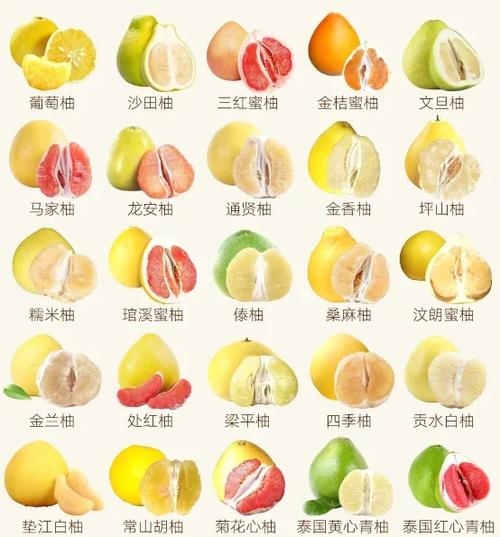 什么品种的柚子最甜最好吃缩略图