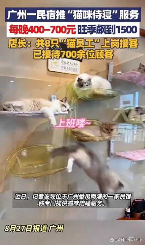 赚钱猫是真的吗游戏截图
