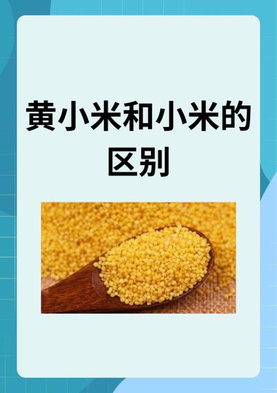 小米发黄好还是发白好缩略图