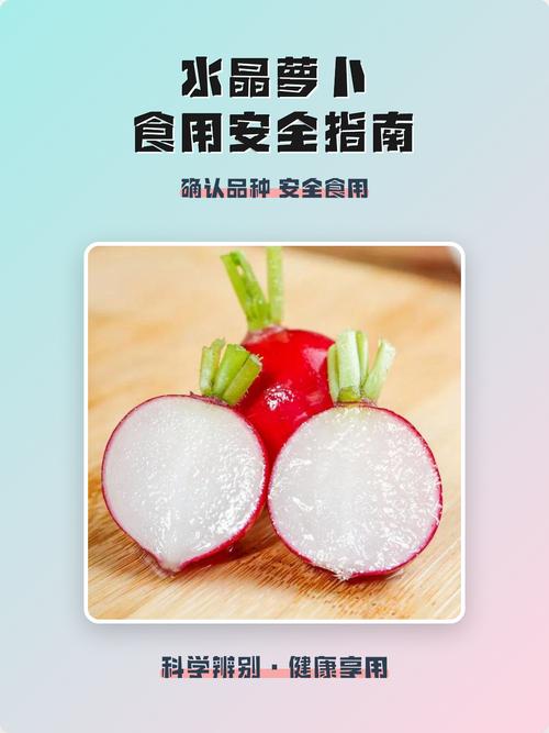 红萝卜炒白萝卜会中毒吗游戏截图
